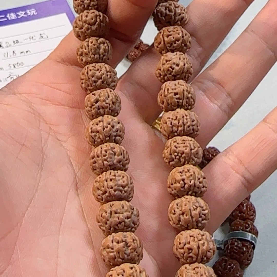 手串金刚菩提树王