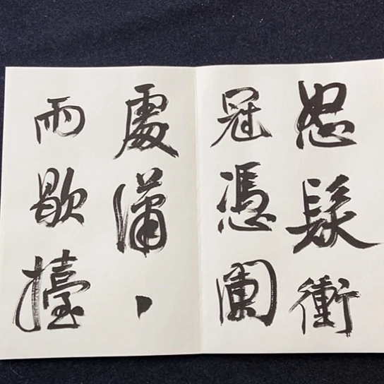 书法张建东老师书法作品