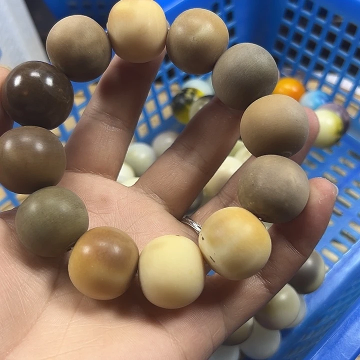 吊坠菩提根/象牙果