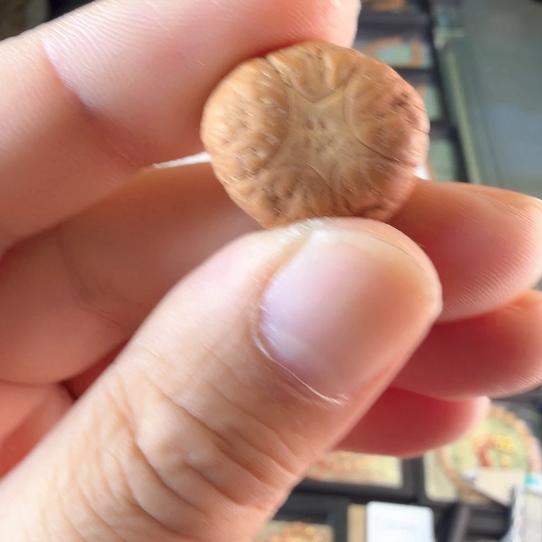 凤眼菩提吊坠2218打三通
