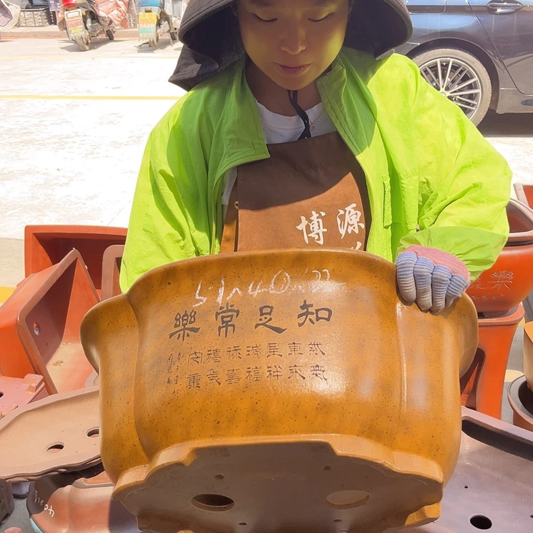 紫砂花盆盆景艺术