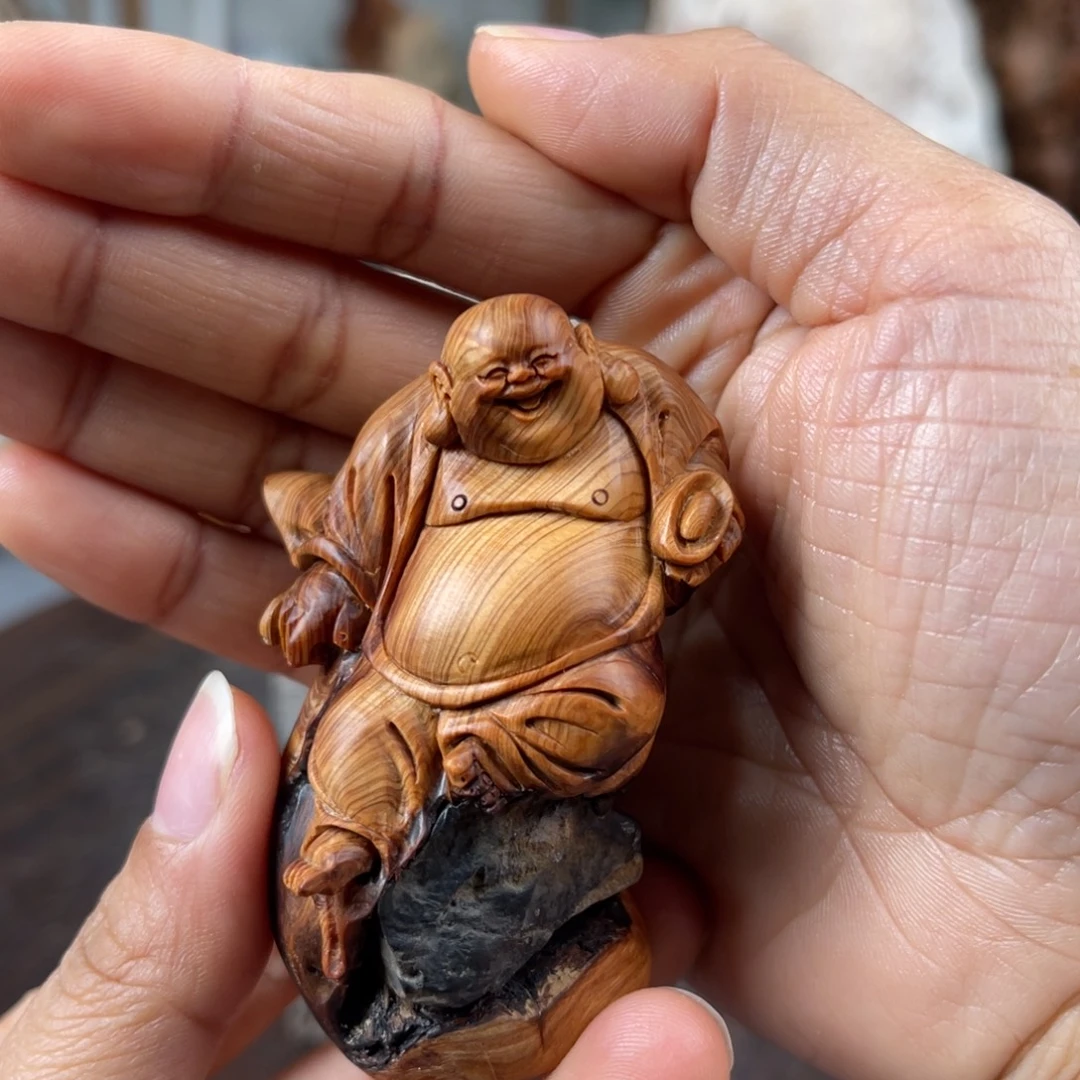 柏木（崖柏）崖柏太行山脉