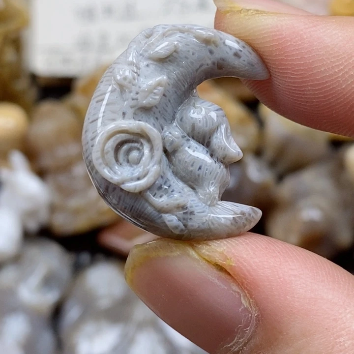 颈饰未镶嵌硅化珊瑚（珊瑚玉）小