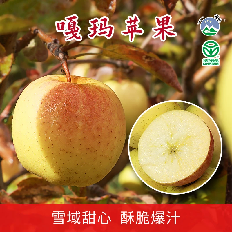 西藏林芝黄香蕉黄元帅苹果现摘现发当季新鲜水果8斤装