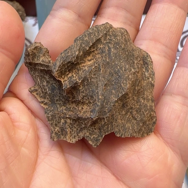 摆件沉香老海南沉水4克