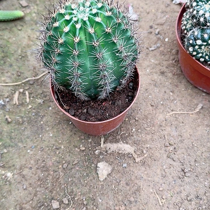 哈哈哈哈哈哈哈哈哈