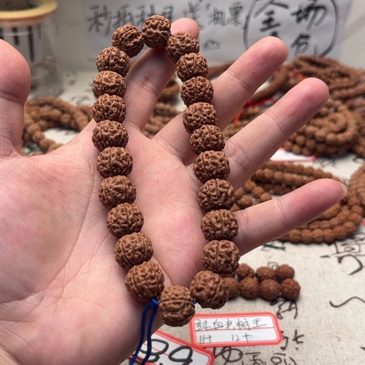 华***李金刚菩提吊坠古树双龙