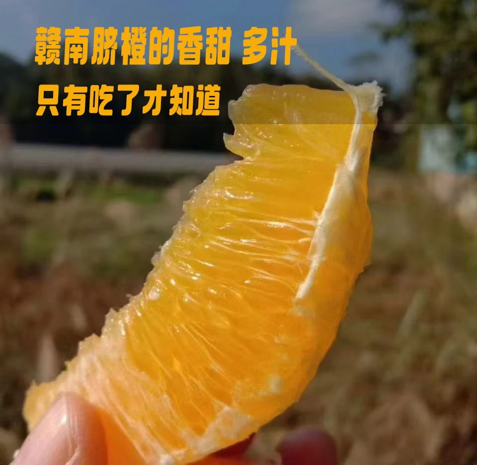 正宗赣南脐橙当季原产地现摘果园直发甜橙子孕妇儿童橙