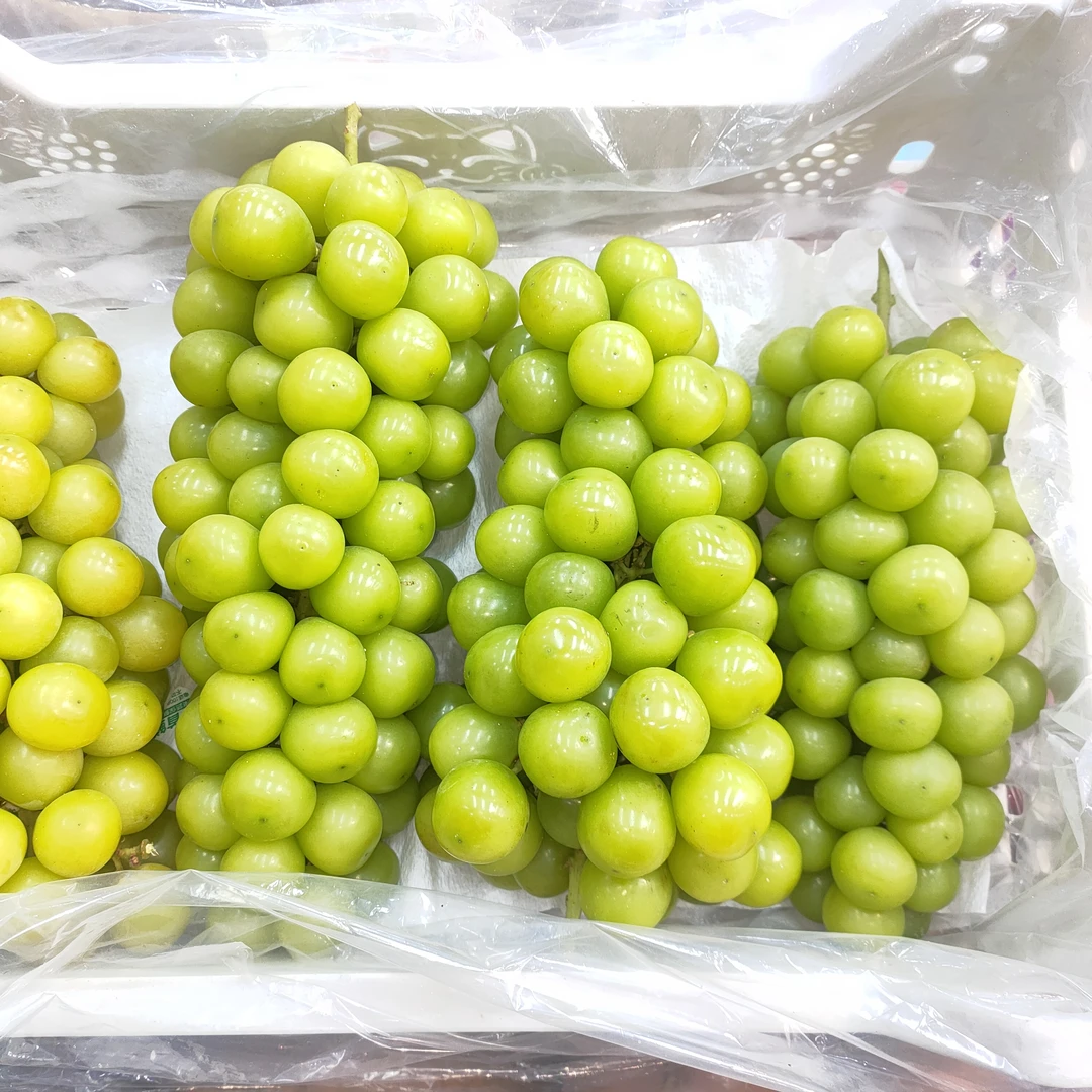 W晴王 葡萄  约10斤