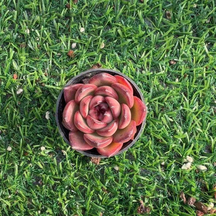 你***⁵万宝龙。