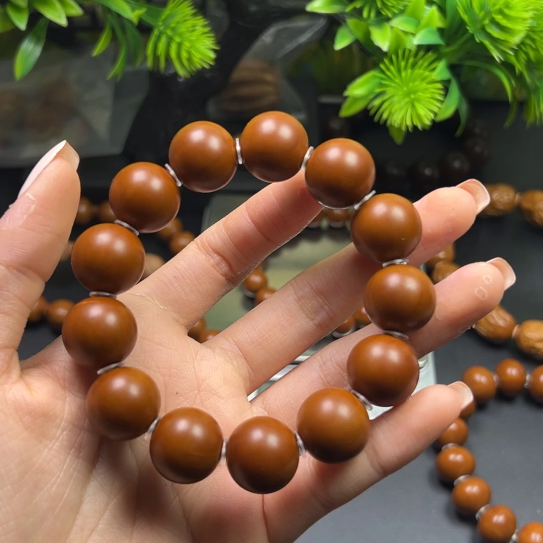 特***行橄榄核铁核1.65树王