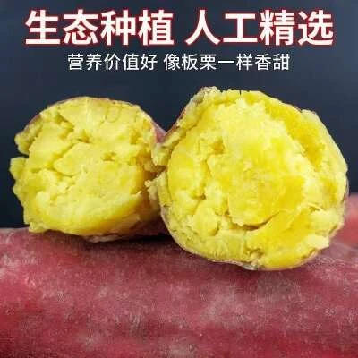 【买三斤送两斤】沙地新鲜现挖软糯香甜板栗红薯粗粮代餐
