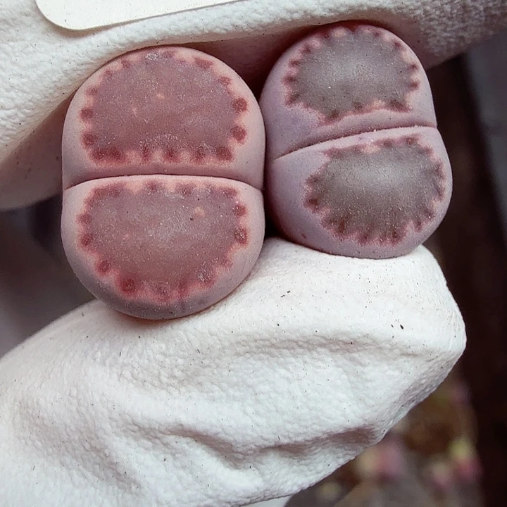 懂么爱就别回电话给人打一005