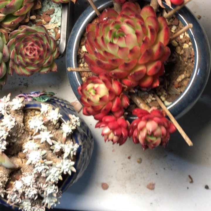 鄱****联33////////////