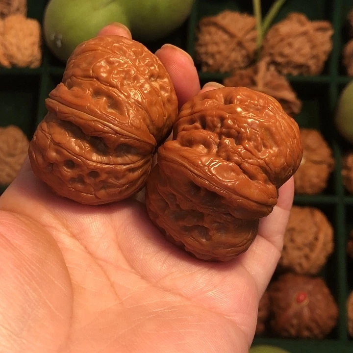 爱***念文玩核桃把件元宝