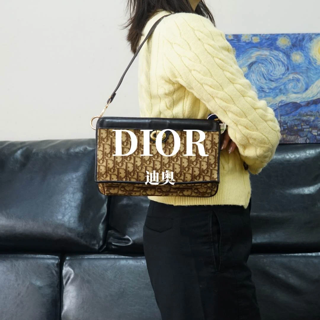 95新 DIOR/迪奥 老花单肩包/F3DG11826036/6036