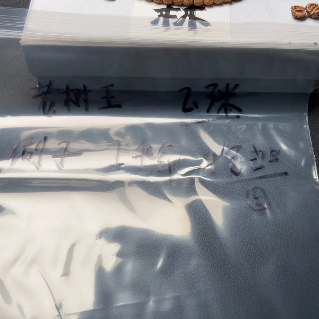 金刚菩提吊坠?***乐老树王