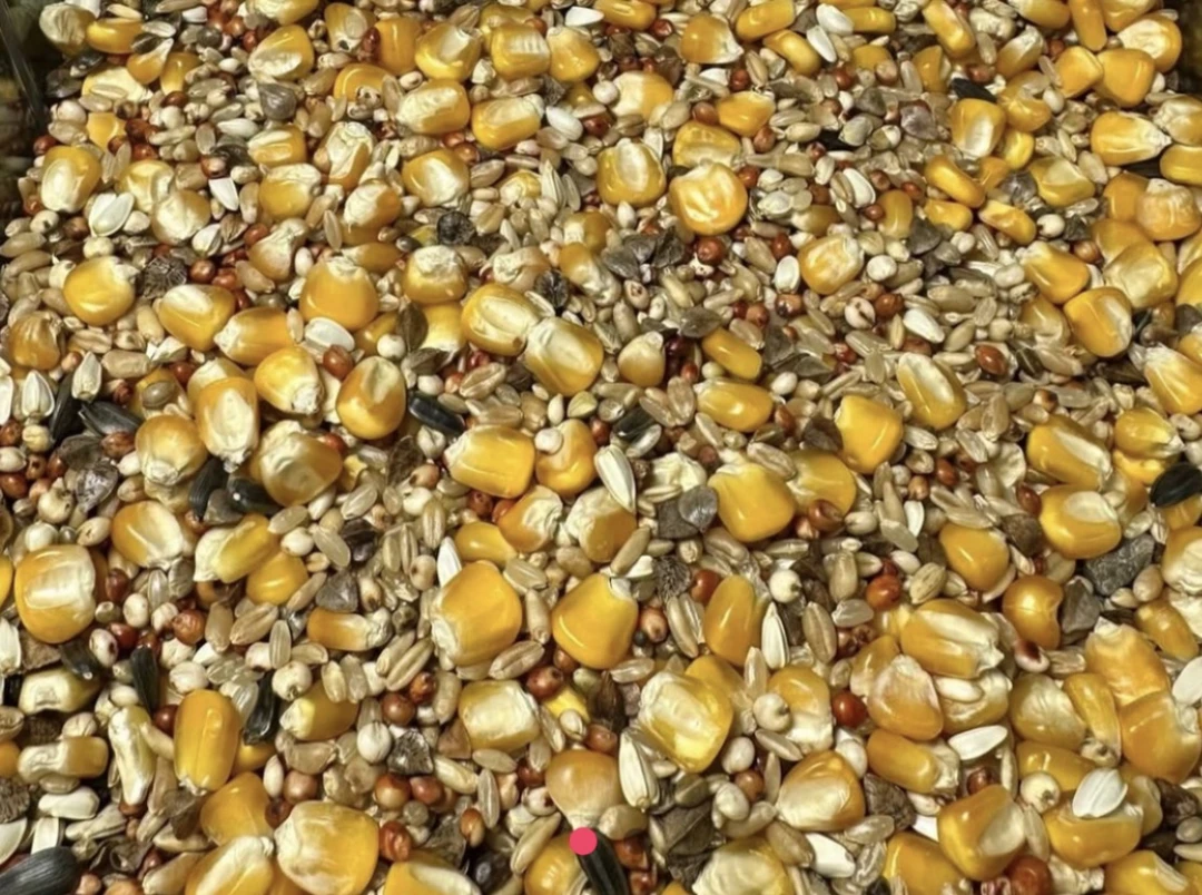 军德缘上笼前赛飞粮 20 斤