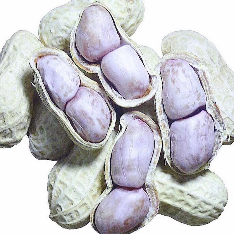 龙岩水煮花生晒干花生正宗农家五香白晒红衣咸干带壳花生零食咸味