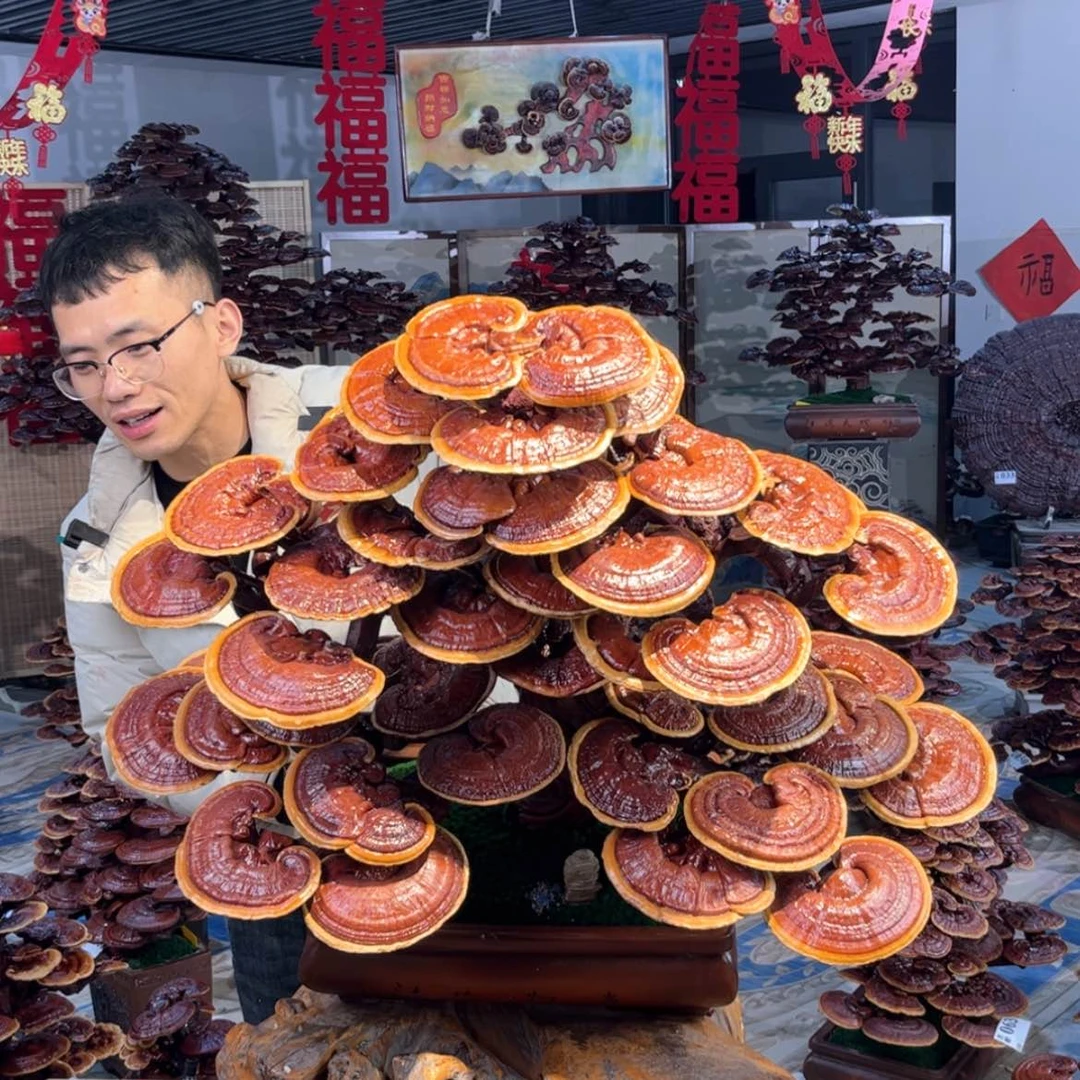 【闪购商品】88888