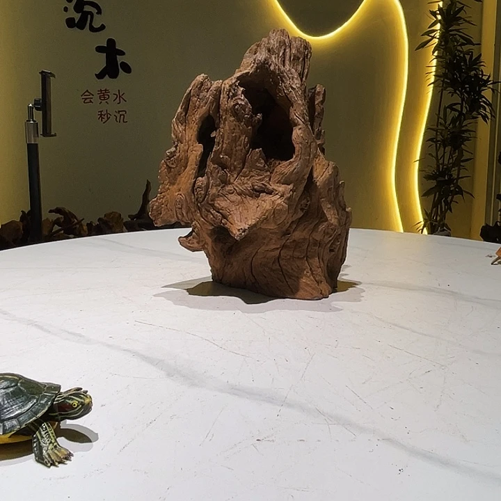 598 沉木入缸会黄水26 21 35