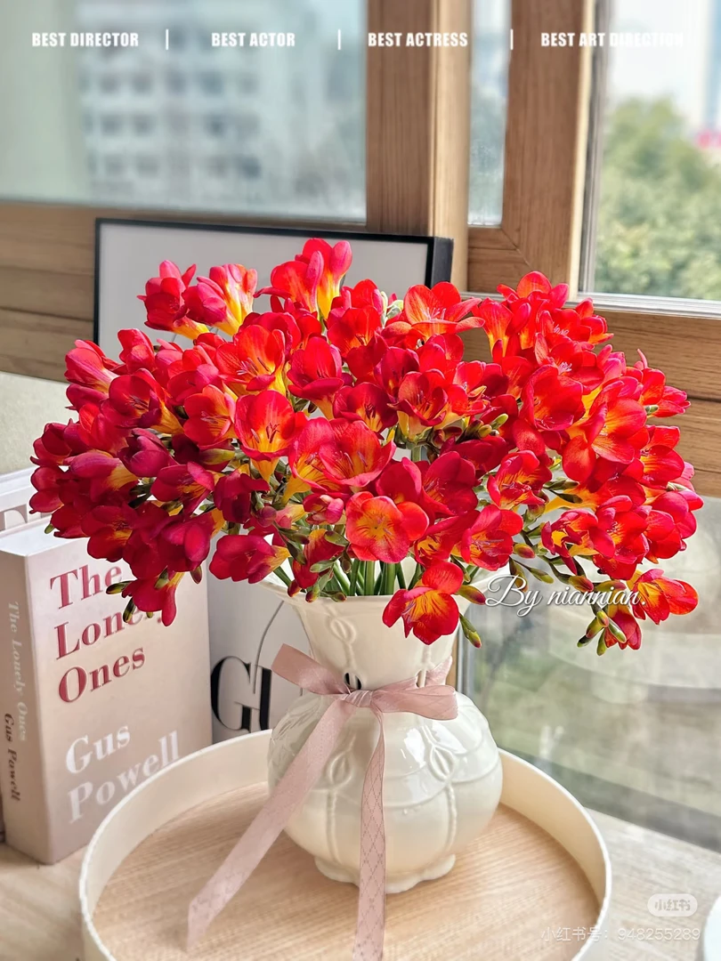 【花甜悦夏优选】椒红香雪兰鲜花（百分之十不售后3个订单起包邮
