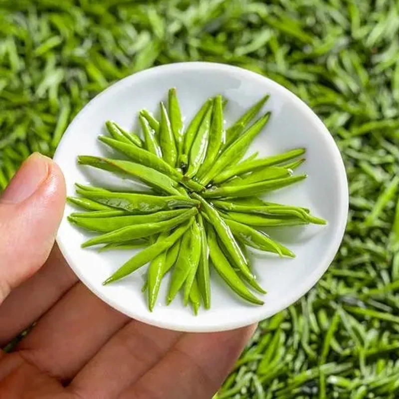 【白罐头采金芽】2025新茶明前头采嫩芽全芽头型高山浓香型绿茶250g