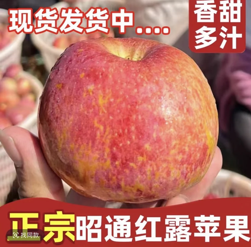 【昭通丑苹果】秋霖家云南昭通高山红露糖心丑苹果现摘现发礼盒装