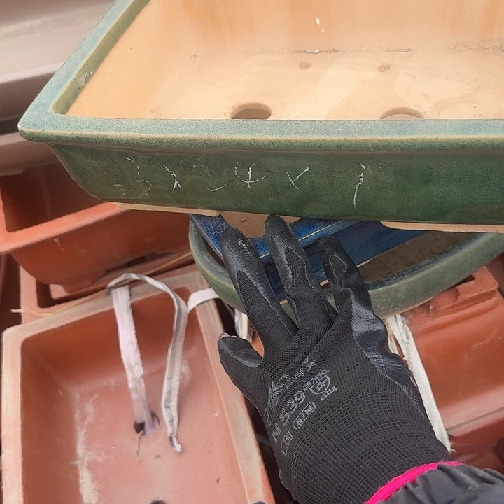 紫砂和花都区三家乡之一