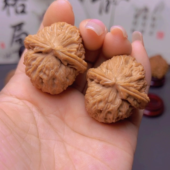 核桃专用链接，全品小白狮子