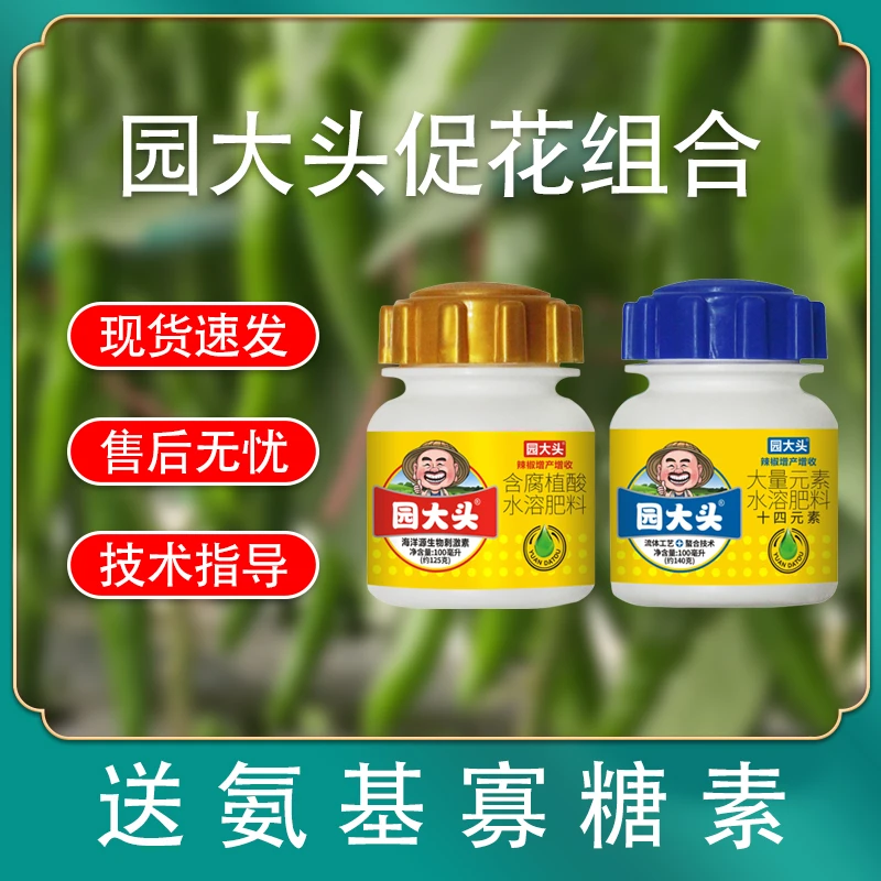 园大头辣椒高纯度高效肥使植物开花更多生根壮苗膨大拉直催芽授粉