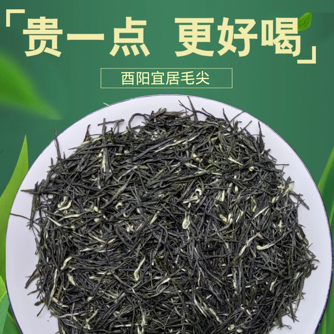 酉阳宜居茶高山硒绿板栗浓香耐泡毛尖茶自己喝的好茶叶