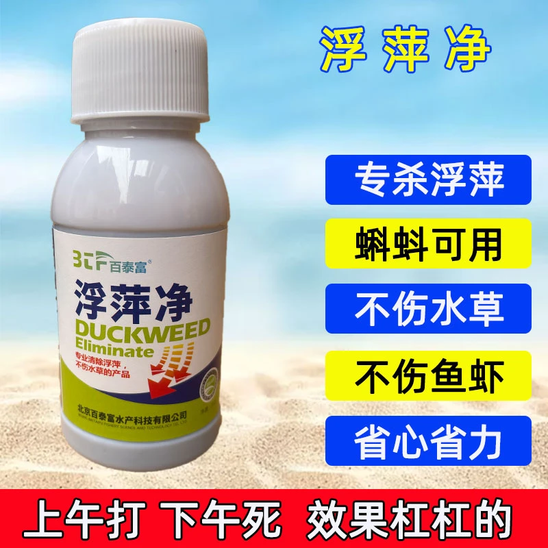 浮萍清鱼塘虾蟹塘杀浮萍一扫光青蛙蝌蚪池塘清除浮萍一喷灵浮萍净