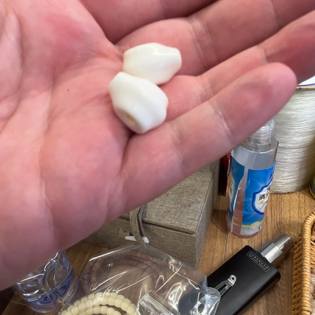 鹿骨其他鲨鱼背白1.2三通