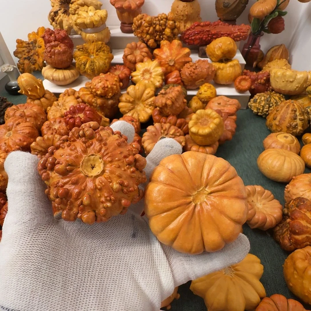 蓝****墨西哥葫芦瑕疵补退换