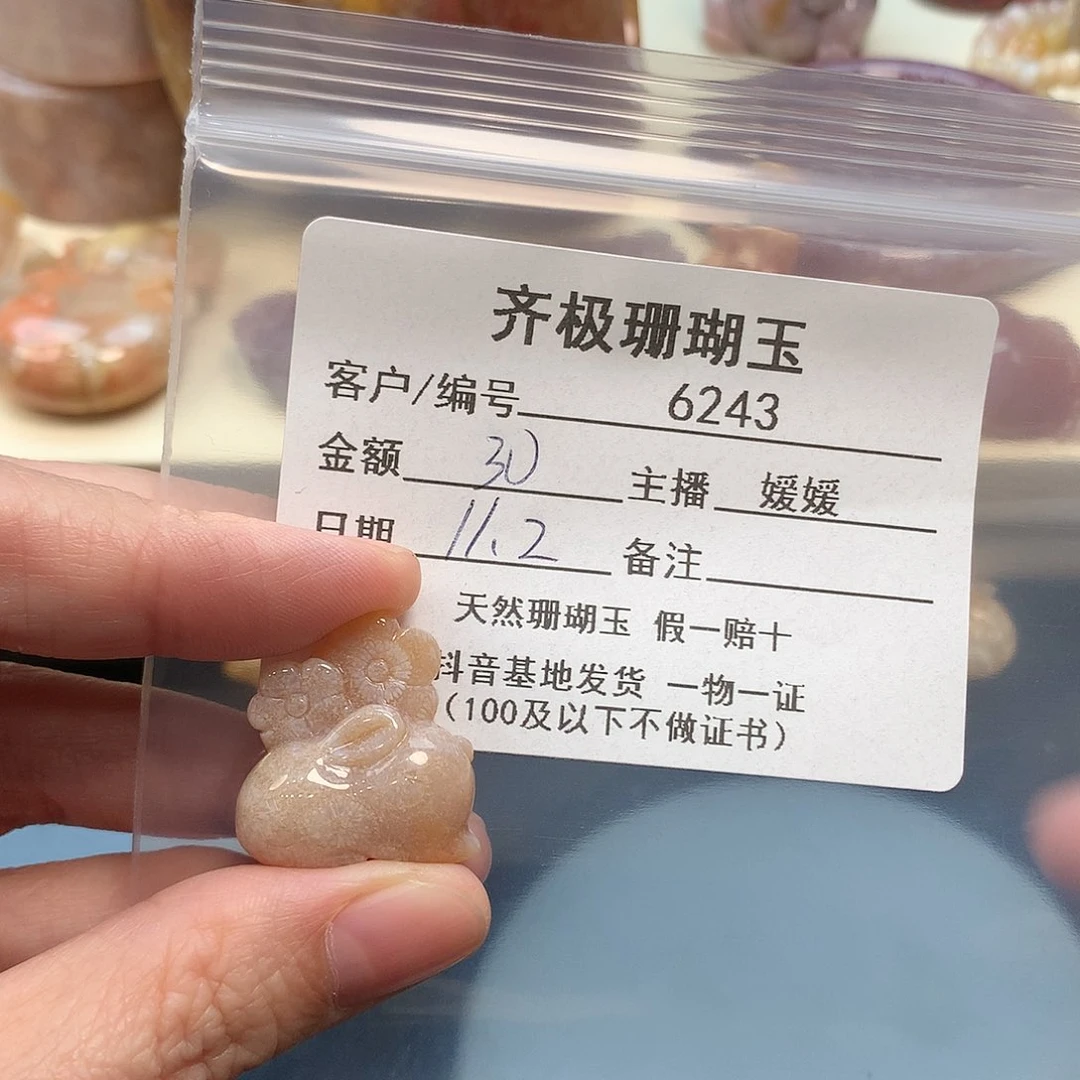 颈饰未镶嵌硅化珊瑚（珊瑚玉）阳**粒