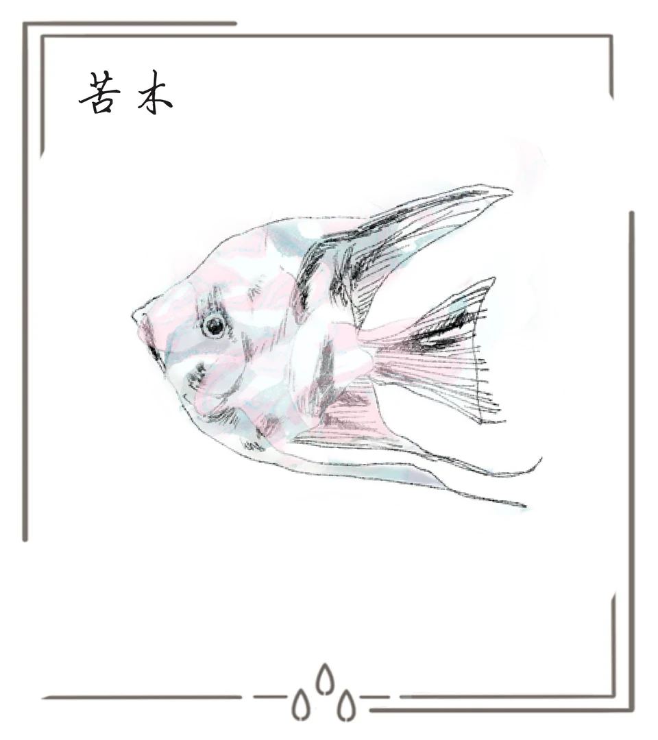 3D-JP  苦木  原创彩色纹身贴 两张