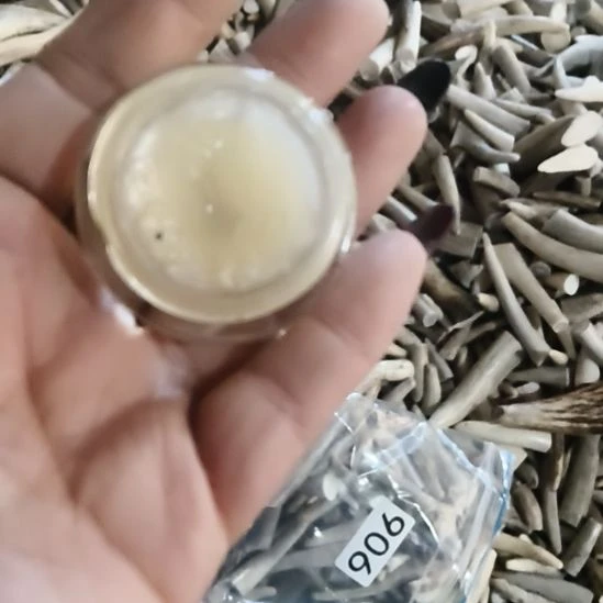 鹿角鹿角鹿角鹿角鹿角鹿角鹿角鹿角鹿角