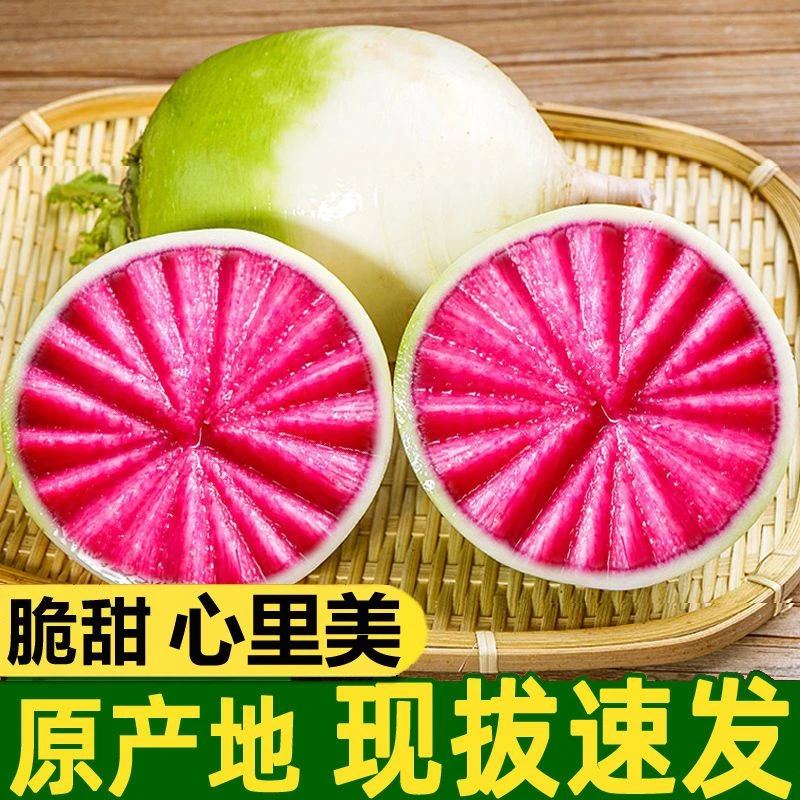 山东心里美萝卜满堂红新鲜红萝卜青皮红心萝卜泡菜山东红心水果