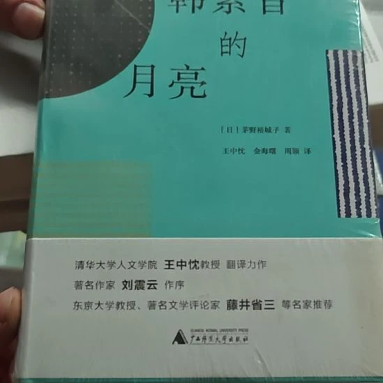 韩素音的月亮精装库存书