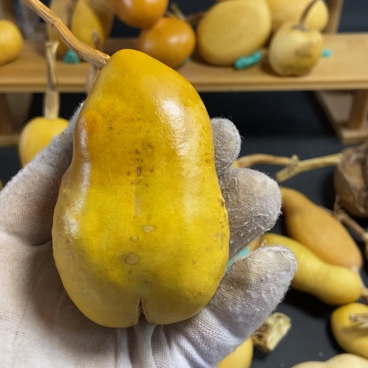 我***呀葫芦葫芦真的