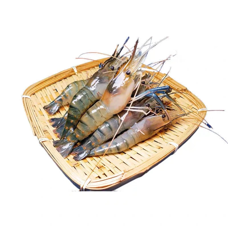 鲜活罗氏虾400g±50g