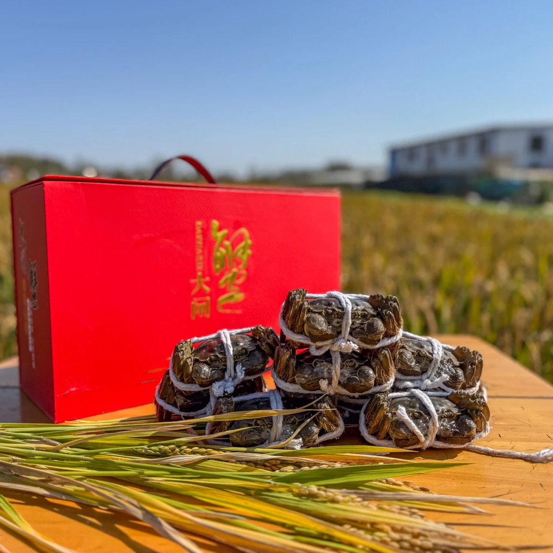 【活蟹】宝应大闸蟹母/3两/5只+公/4两/5只