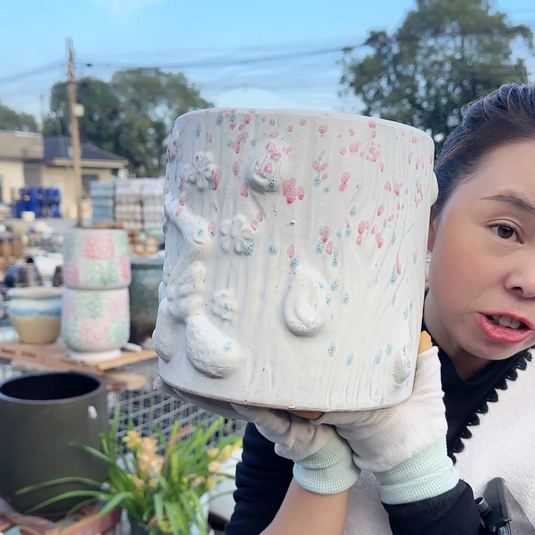 王嫂花盆1105-333高20口20