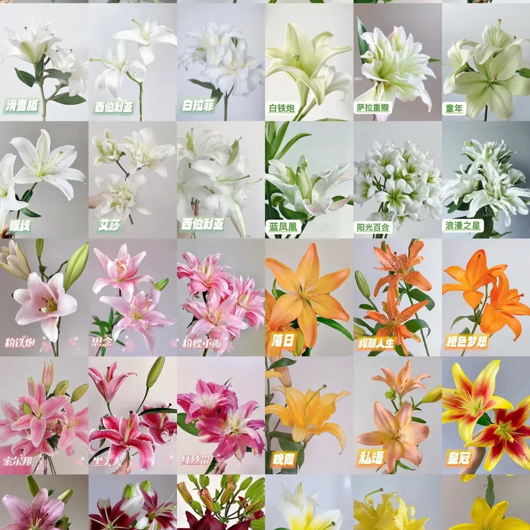 香水百合亚百合鲜花礼盒送礼佳品