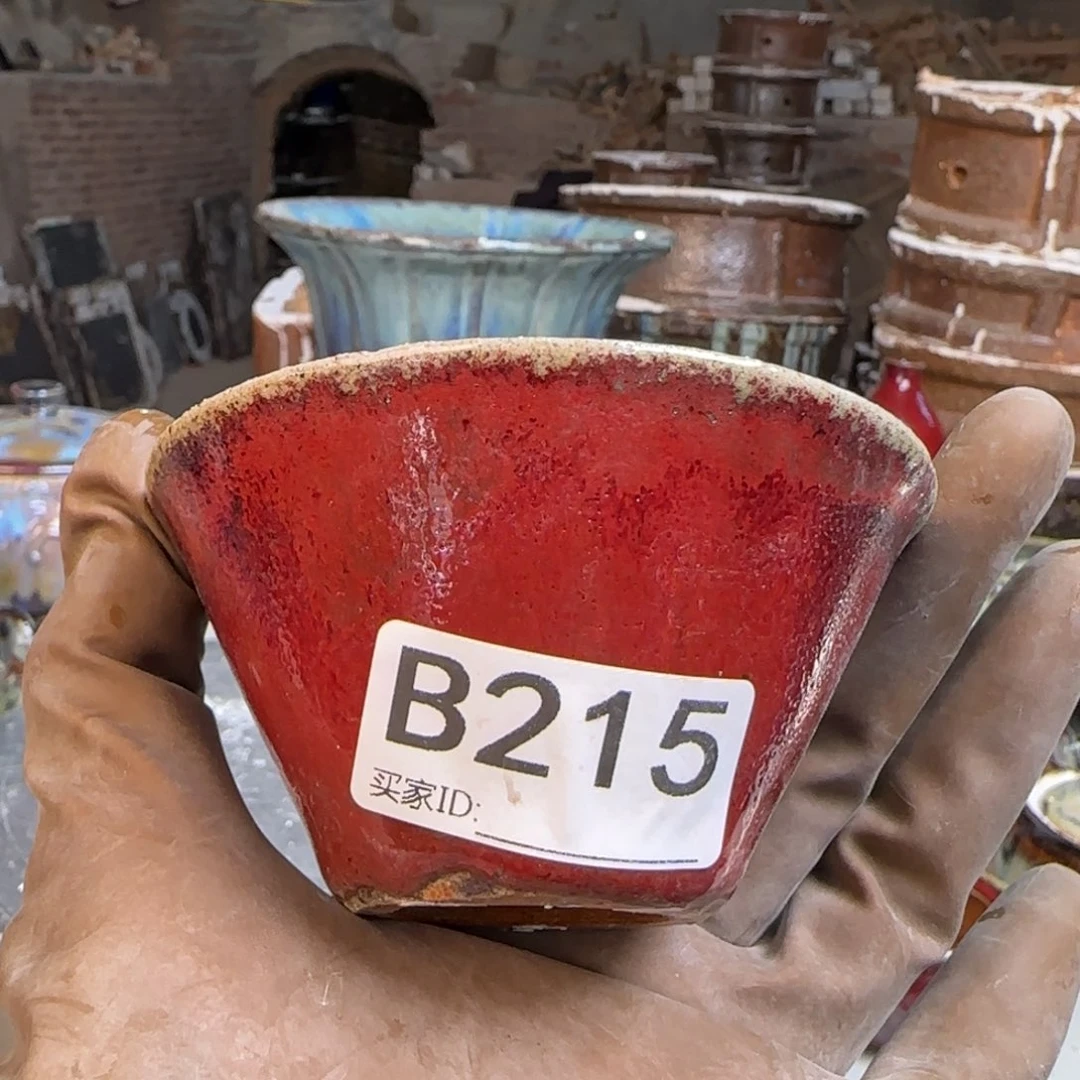 红泥花盆皇***子215