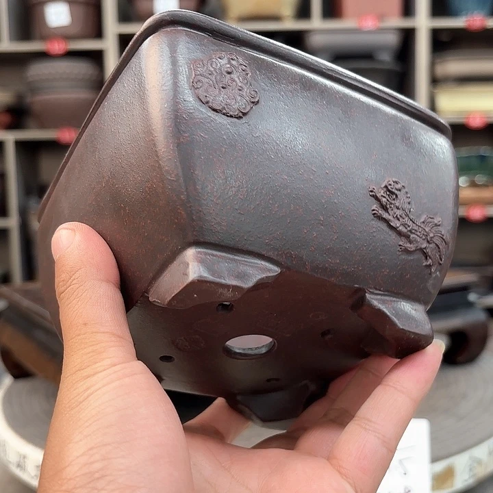 紫砂花盆紫砂的花也太