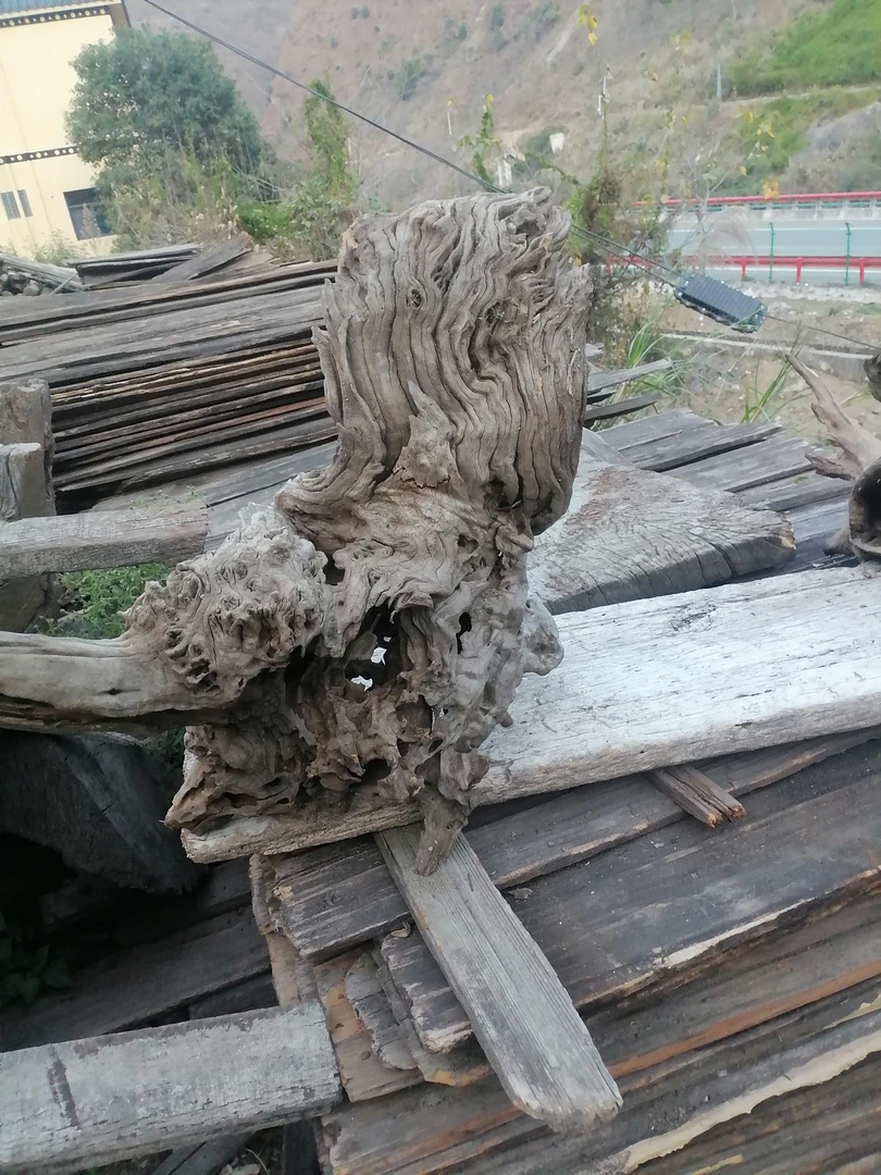 风化木根艺摆件你