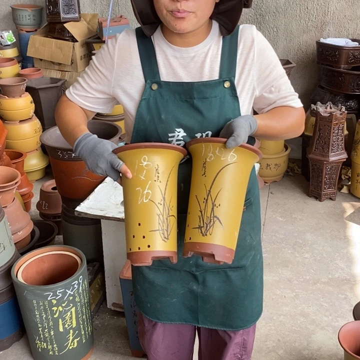 紫砂花盆盆栽花卉苗木种植