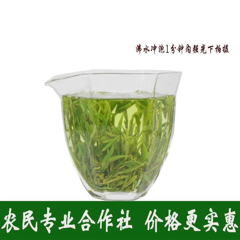 50g袋装绿杨春2025茶叶扬州特产绿茶头春头采绿阳春好喝的聚源春